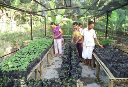 Kelompok Tani Ternak SERUMPUN JAYA